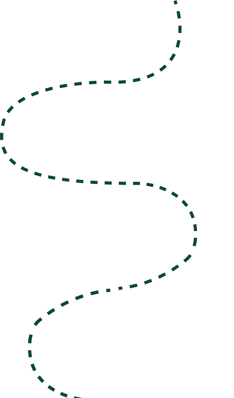 roadmap-dot-line